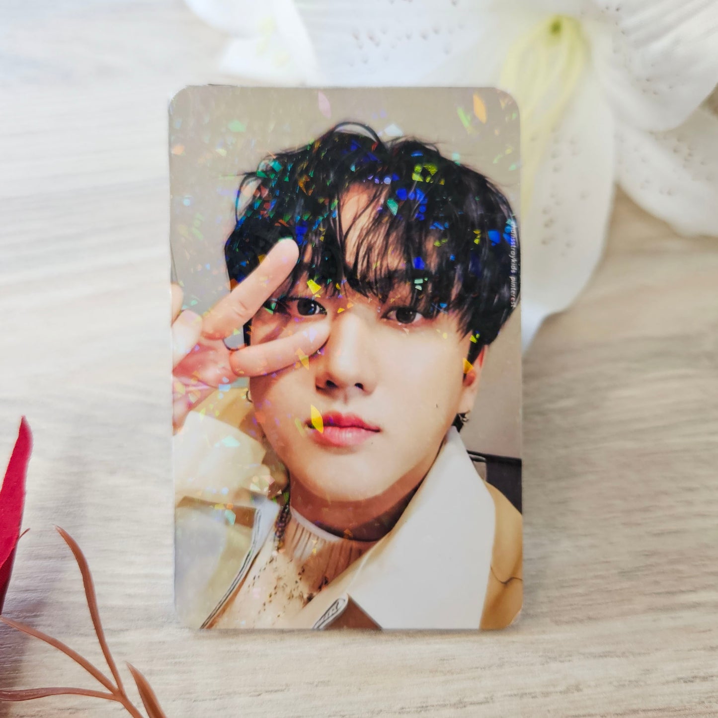 Changbin - Photocard Luxo - Stray Kids