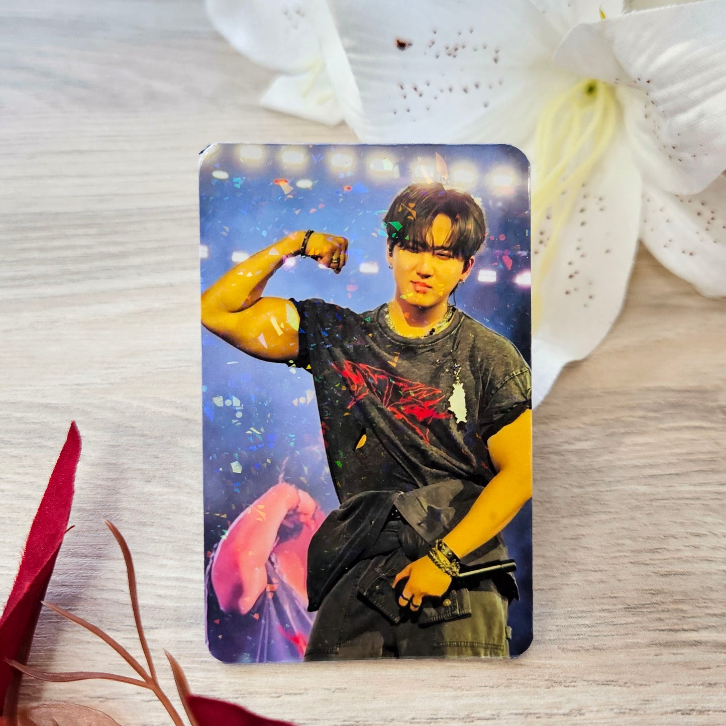 Changbin - Photocard Luxo - Stray Kids