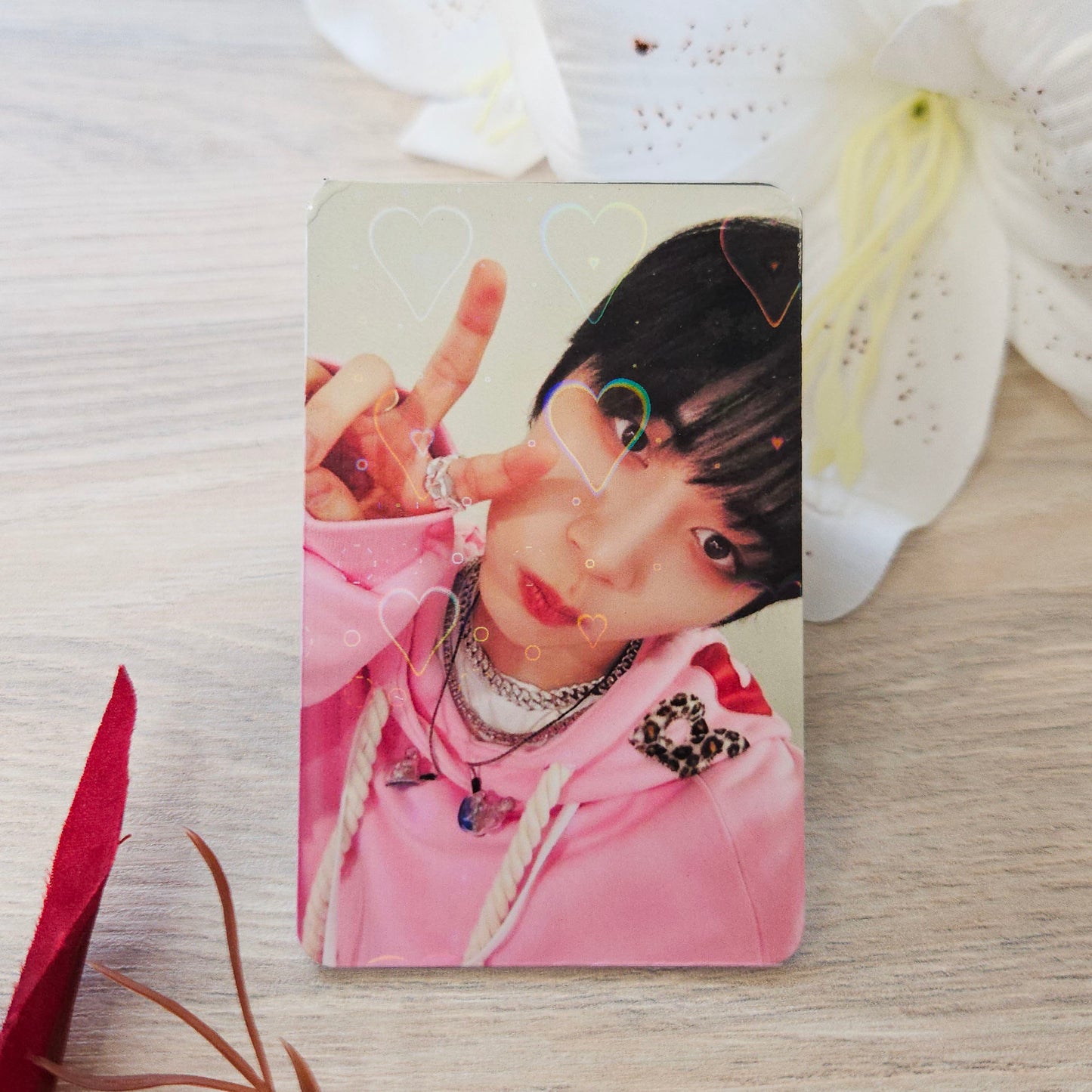 Grupos Variados - Photocard Luxo