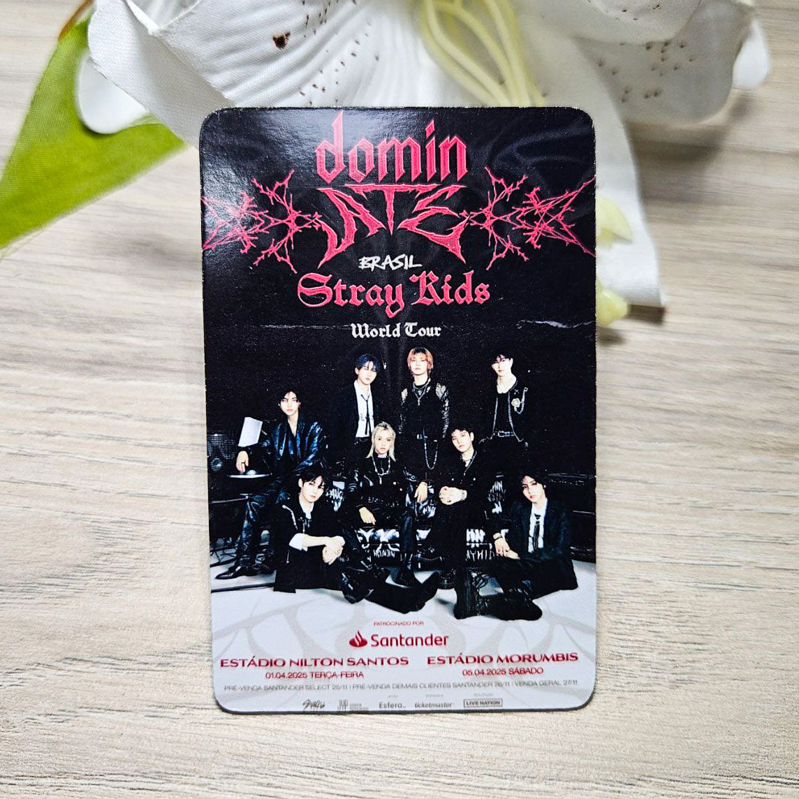 Han - Photocard Luxo - Stray Kids